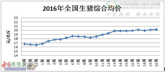 2016年全國生豬綜合均價(jià).jpg